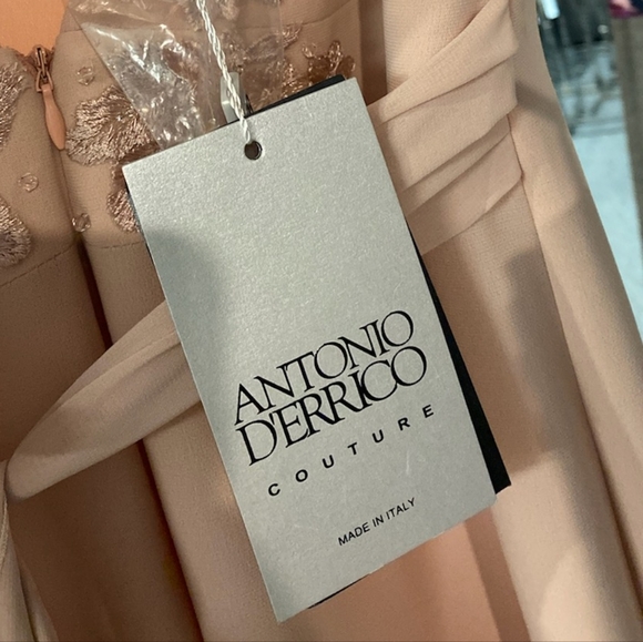 Sz 42(6) NWT $570 Antonio Derrico gown - Picture 2 of 7